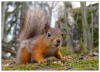 gallery/gal/Animals/Other_Animals/_thb_9998.jpg
